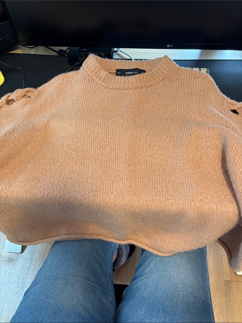 Zara Cozy Crewneck Sweater in Light Pink